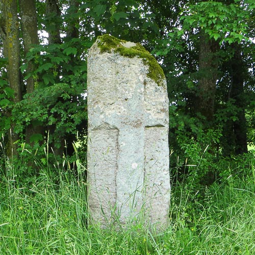 Linsenstein